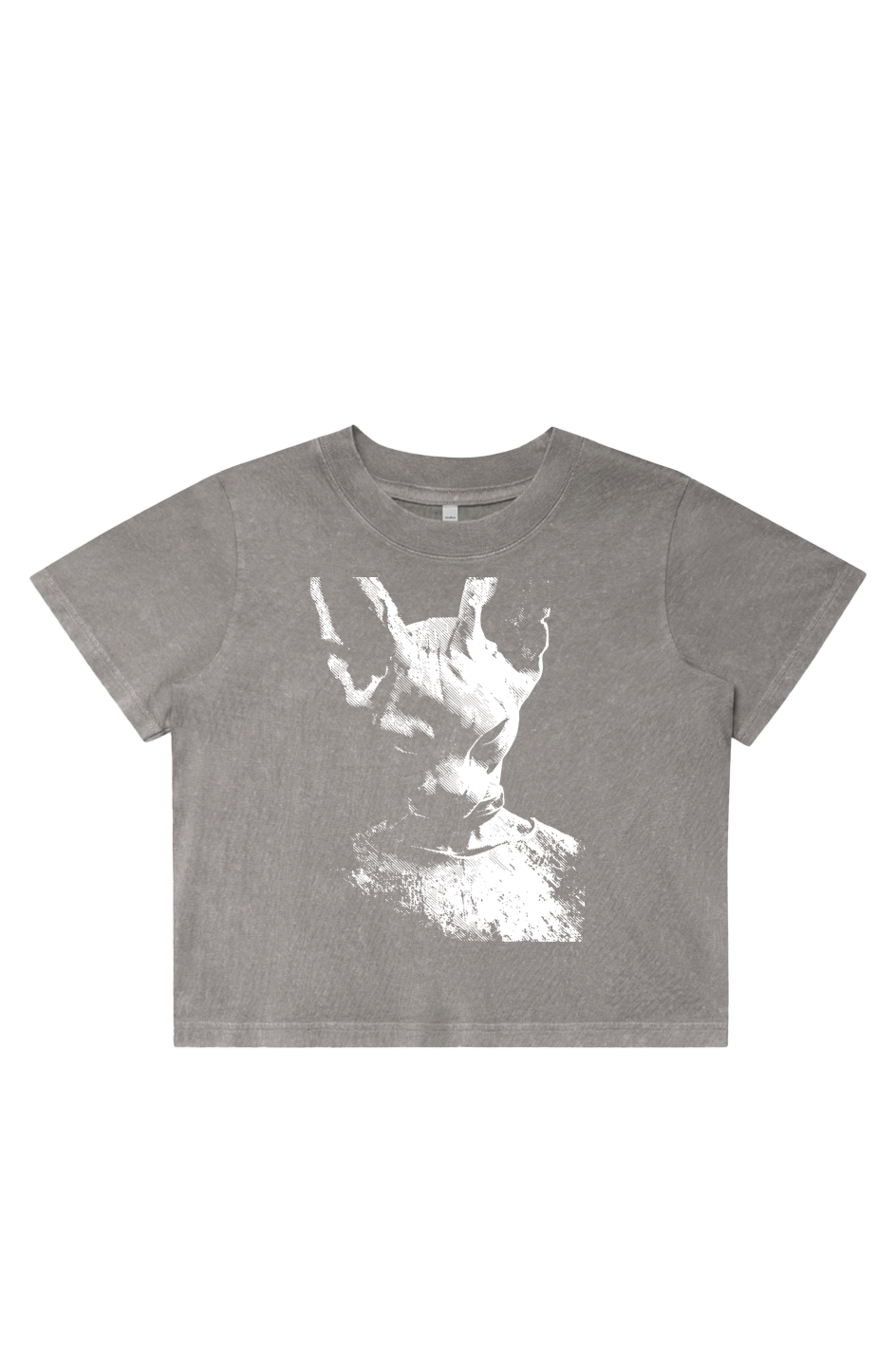 Women's Stone Wash Cropped - Anime, Dragon Ball Z, Beerus, Art, Streetwear, Streetstyle, Casual