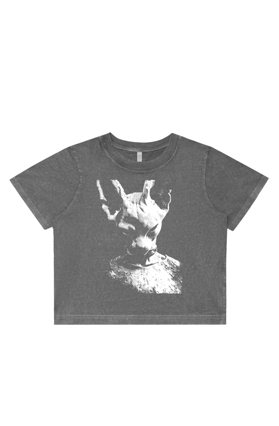 Women's Stone Wash Cropped - Anime, Dragon Ball Z, Beerus, Art, Streetwear, Streetstyle, Casual