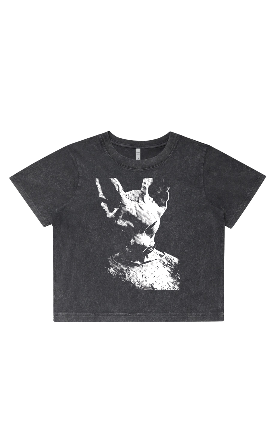 Women's Stone Wash Cropped - Anime, Dragon Ball Z, Beerus, Art, Streetwear, Streetstyle, Casual